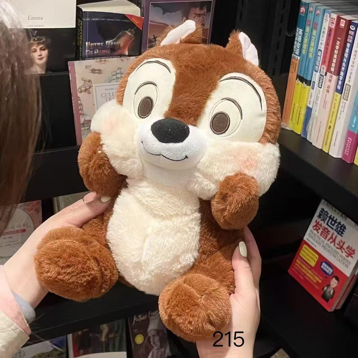 Peluche con Cobija 2 en 1