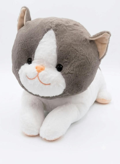 Peluche con Cobija 2 en 1